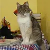 Отзыв от Оксана Горшкова
